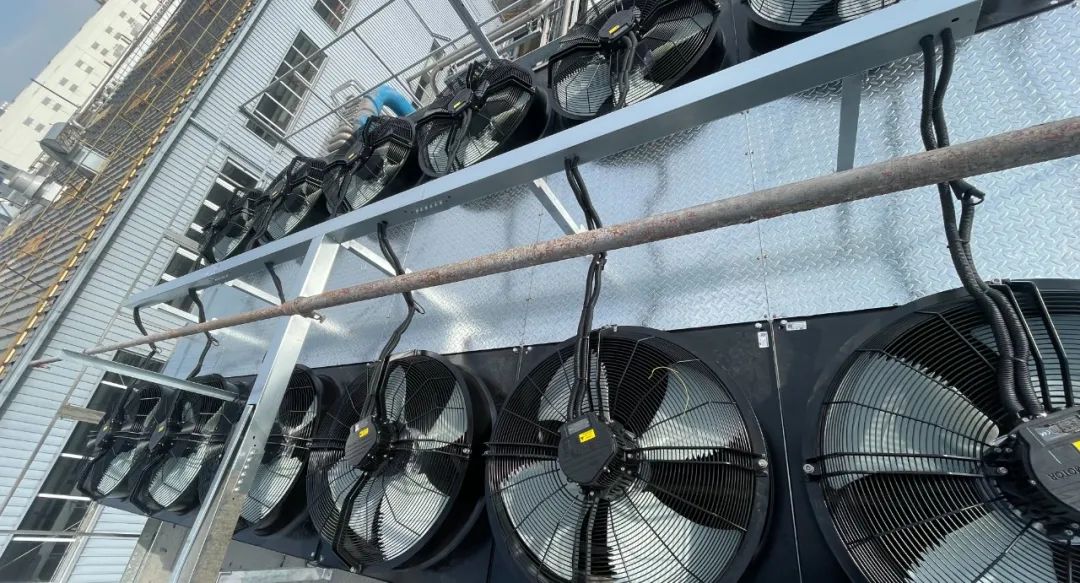 1711095587833365p22C.jpg 4.jpg