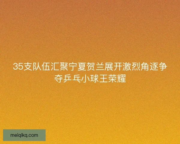 35支队伍汇聚宁夏贺兰展开激烈角逐争夺乒乓小球王荣耀